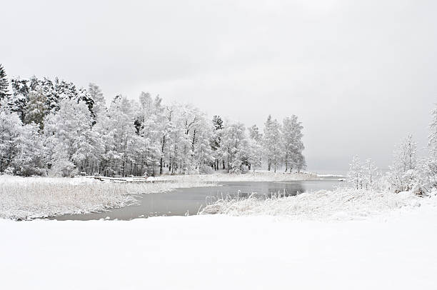 nevar en el lake shore - frozen cold lake reed fotografías e imágenes de stock