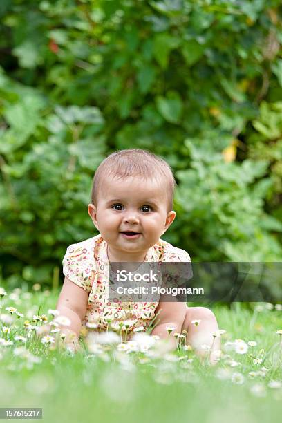 Piękny Dziewczynka Wybierając Kwiaty W Trawie - zdjęcia stockowe i więcej obrazów Niemowlęta dziewczynki - Niemowlęta dziewczynki, Dania, Dzieciństwo