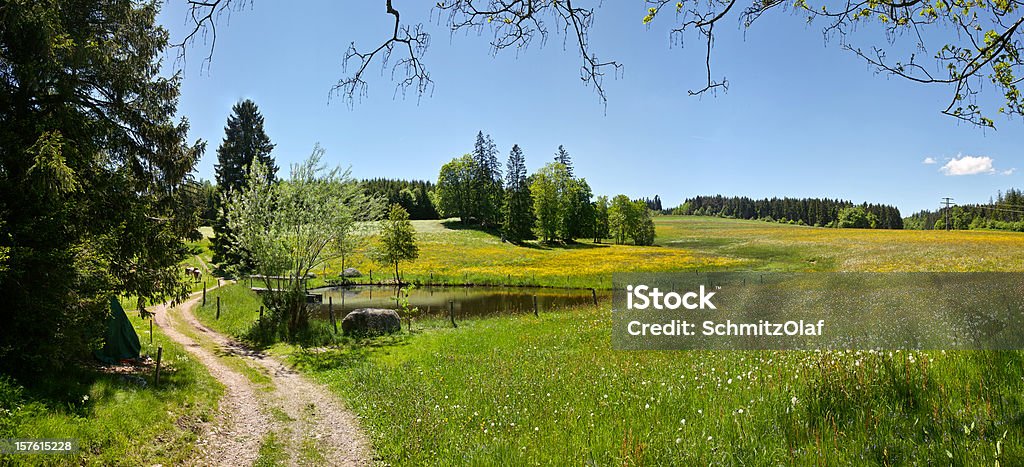panorama di summerday nella Foresta nera con piccolo Lago - Foto stock royalty-free di Foresta Nera