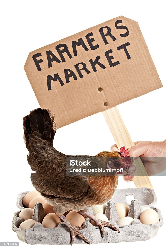 Mercato degli agricoltori di pollo e uova - Foto stock royalty-free di Cartone - Contenitore