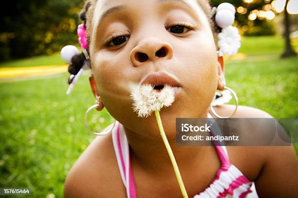 Photo libre de droit de Petite Fille Avec Fleur De Pissenlit banque d'images et plus d'images libres de droit de Fleur de pissenlit - Fleur de pissenlit, Souffler, Petites filles