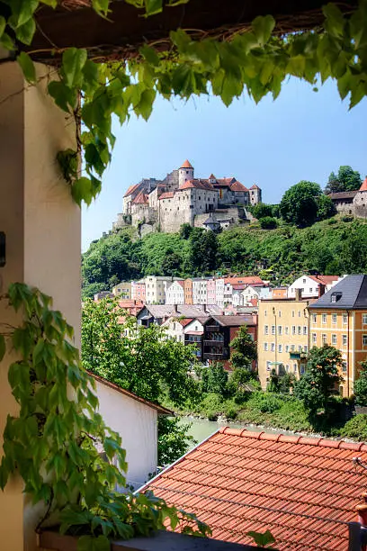 The medieval Bavarian village of Burghausen, seen through a frame of ivy.