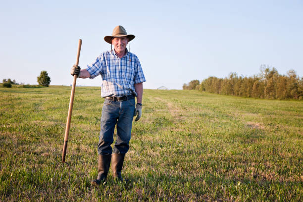 istock Senior farmer standing in field full length 157615514