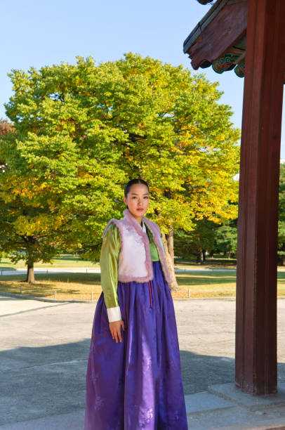 istock Traditional Korean dress 157615574
