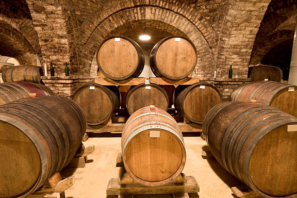 istock Wooden barrels in Wine Cellar 157615608