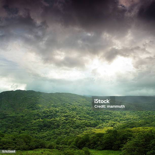 Photo libre de droit de Sur Les Montagnes Couvertes De Forêt Avec La Lumière Du Soleil Spots banque d'images et plus d'images libres de droit de Beauté de la nature