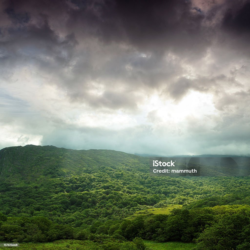 Montagne ricoperte di foreste, con luce Spot - Foto stock royalty-free di Ambientazione esterna