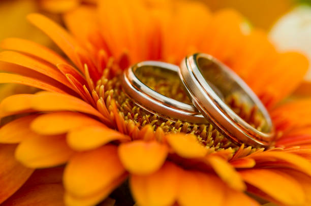 istock Wedding Rings in Bouquet 157615752
