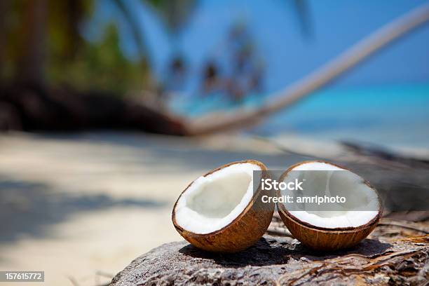 ビーチで新鮮なココナッツの半分 - ココヤシの木のストックフォトや画像を多数ご用意 - ココヤシの木, 浜辺, カラー画像