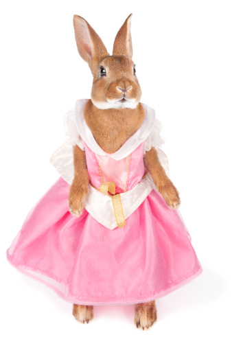 Brown rabbit wearing  a girls dress,, standing on her back legs