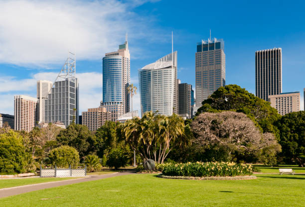 istock Sydney Skyline and Royal Botanic Gardens 157616212