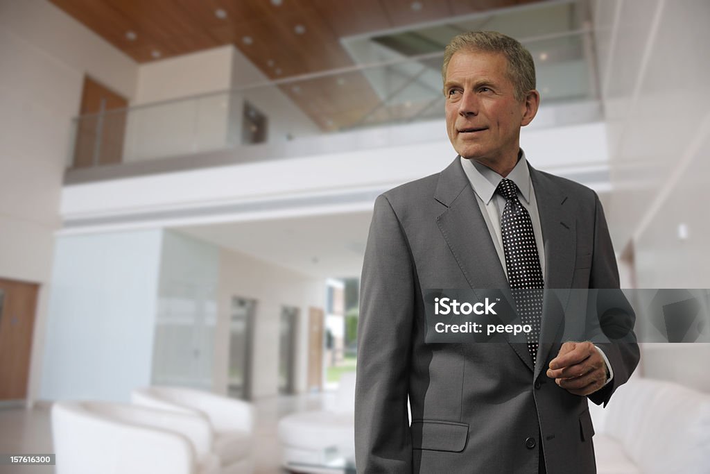 smart mature businessman  CEO Stock Photo