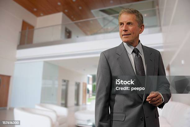 Smart Mature Businessman Stock Photo - Download Image Now - CEO, Portrait, Candid