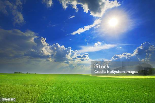 Foto de Campo De Trigo Com Céu Tempestuoso E O Sol e mais fotos de stock de Agricultura - Agricultura, Ajardinado, Azul