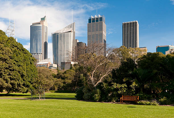 istock Sydney Skyline and Royal Botanic Gardens 157616705