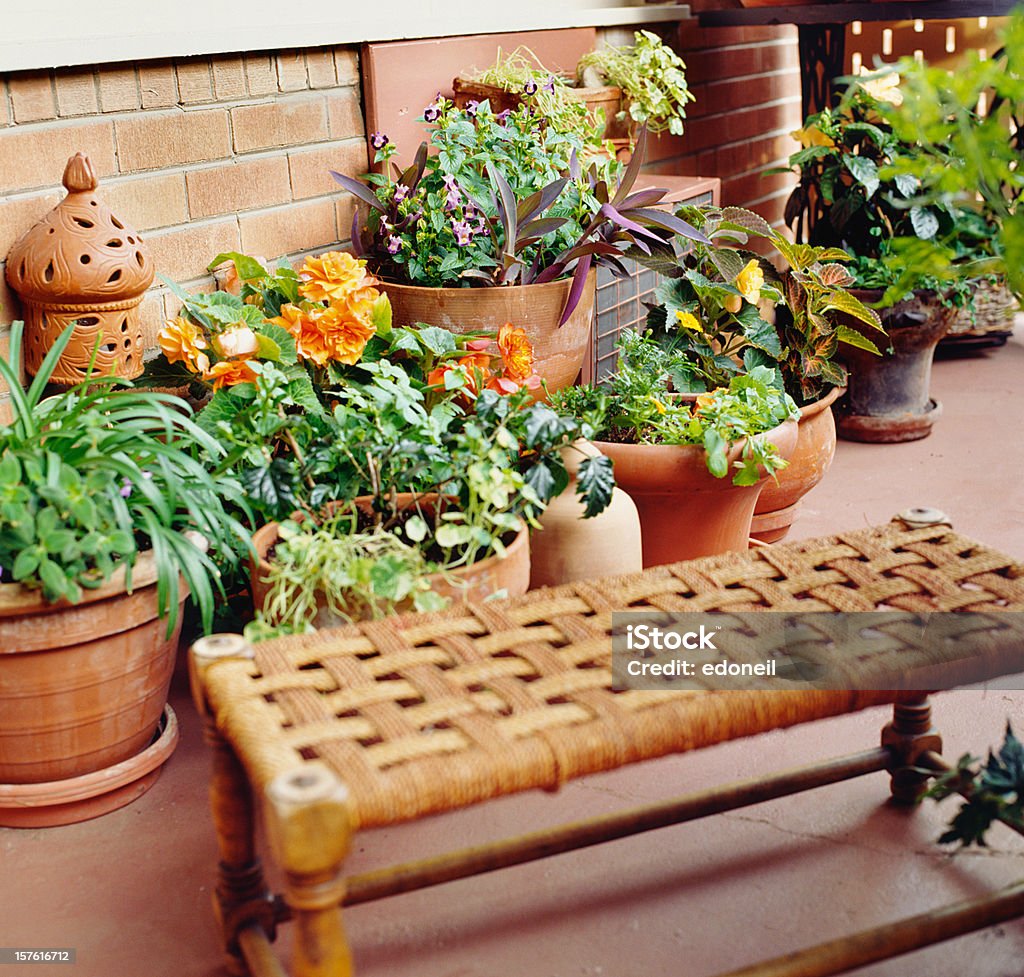 Urban oasis balcone arredato come Paese - Foto stock royalty-free di Pianta da interni