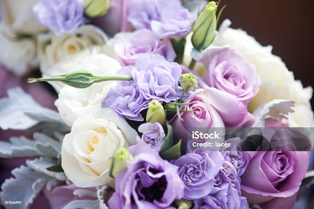 Light purple and white roses in wedding bouquet A brides purple and white rose bouquet. Flower Stock Photo