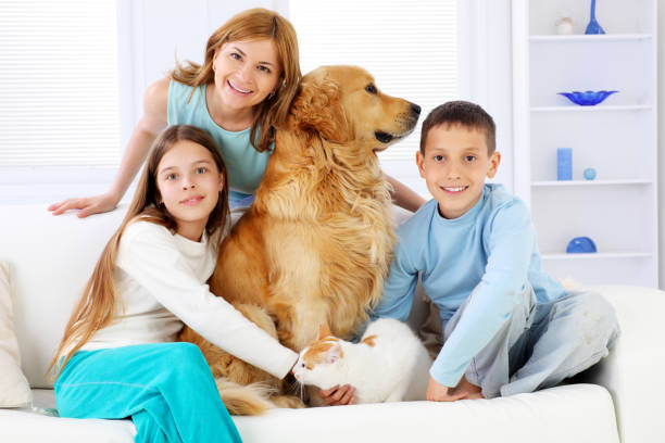istock Children with mother and pets sitting on white sofa. 157617172