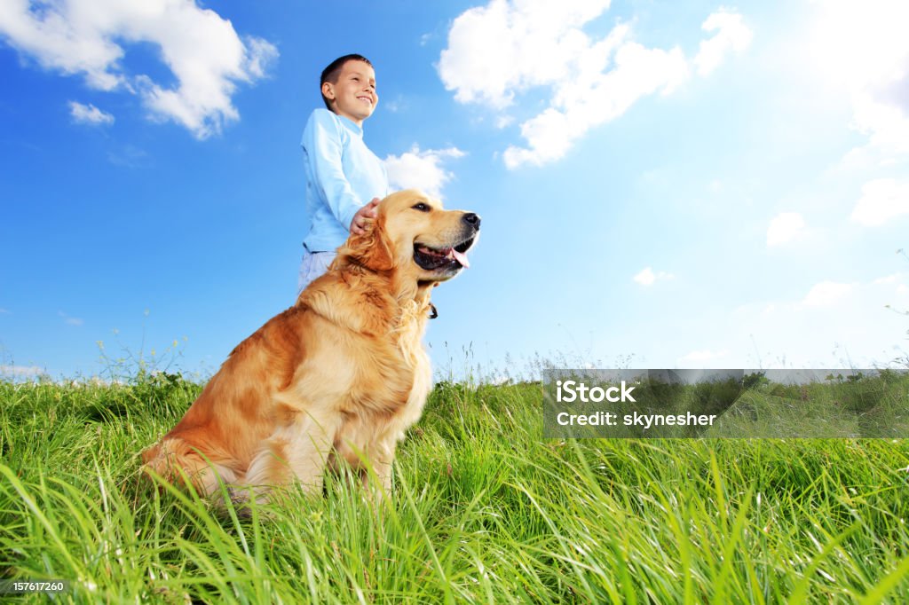 Bambino con il cane all'aperto. - Foto stock royalty-free di Blu