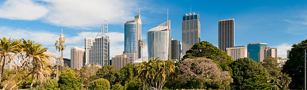 istock Panoramic View of Sydney Skyline and Royal Botanic Gardens (XXXL) 157617342