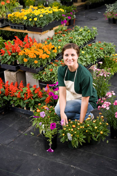 femme travaillant en pépinière avec des pots de fleurs - sc0411 photos et images de collection