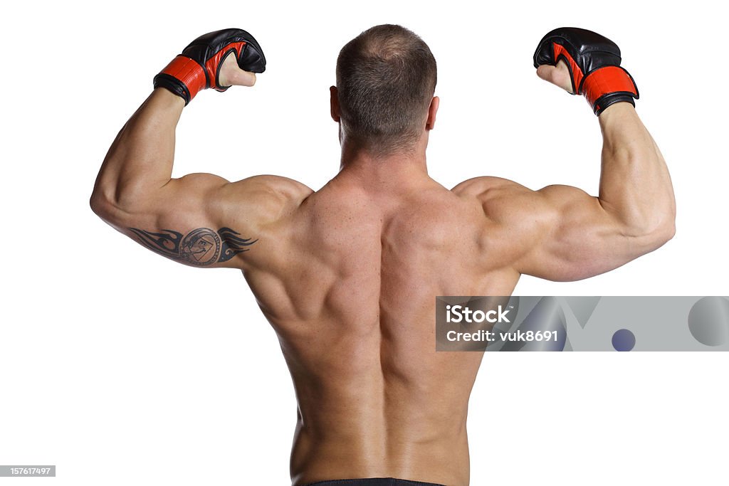 Muscular fighter posing Muscular fighter posing-isolated on white background Adult Stock Photo
