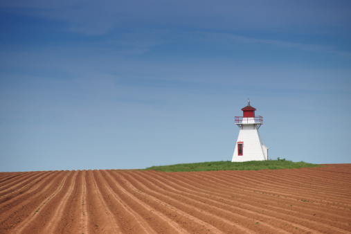Prince Edward Island lighthouse and potato field.