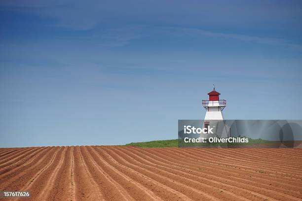 Ilha Do Príncipe Edward Farol E Campo De Batata - Fotografias de stock e mais imagens de Ilha Prince Edward - Ilha Prince Edward, Campo agrícola, Farol - Estrutura construída