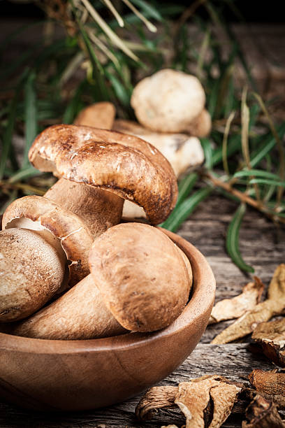 istock Organic white mushrooms. Cep 157617634