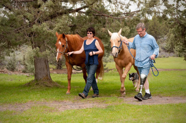 Amputee w/wife, leading horses down a path