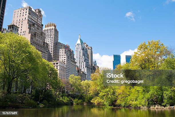 Staw W Central Park Z Drapaczami Chmur W Tle - zdjęcia stockowe i więcej obrazów Budynek z zewnątrz - Budynek z zewnątrz, Central Park - Manhattan, Drzewo