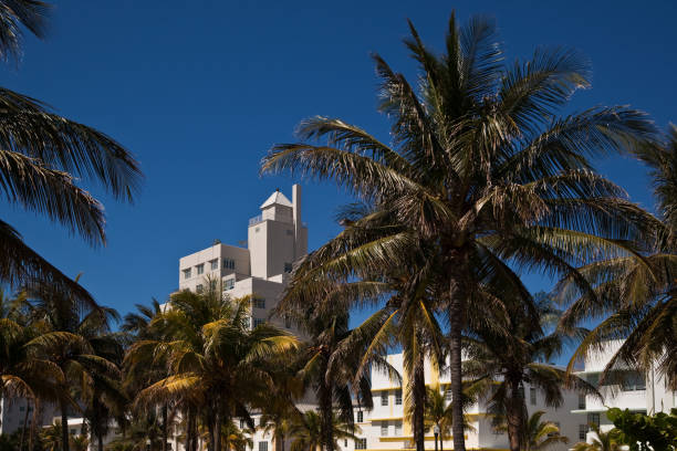 (xxxl) ocean drive mattina - park central hotel ocean drive miami beach hotel foto e immagini stock