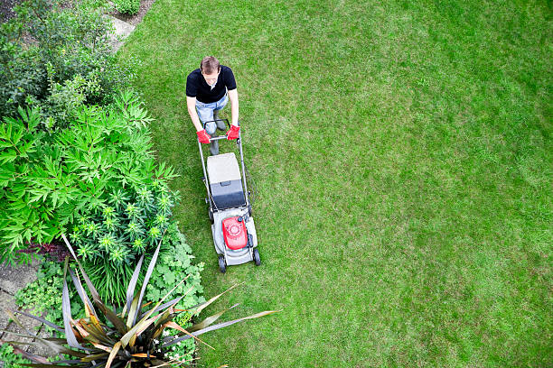 Bird's Eye View of Gardener Mowing Lawn Overhead shot of gardener mowing lawn by shrubbery border. estate worker stock pictures, royalty-free photos & images