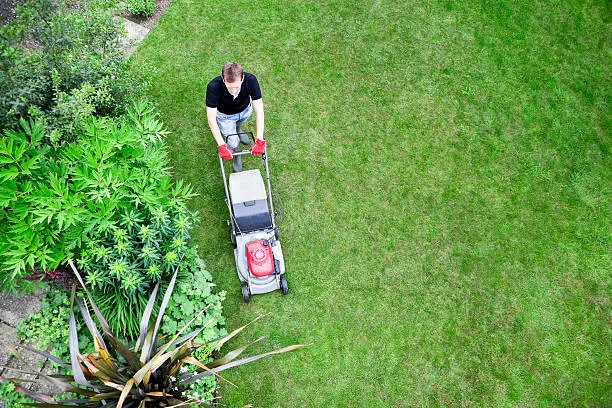 Photo of Bird's Eye View of Gardener Mowing Lawn