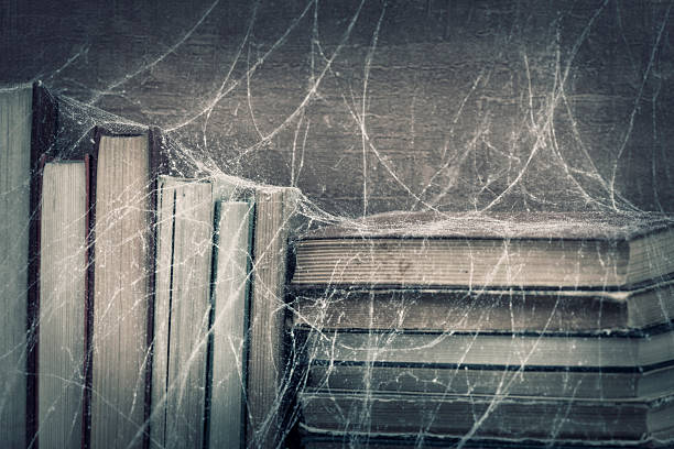 50+ Spider Web Book Old Bookshelf Stock Photos, Pictures ...