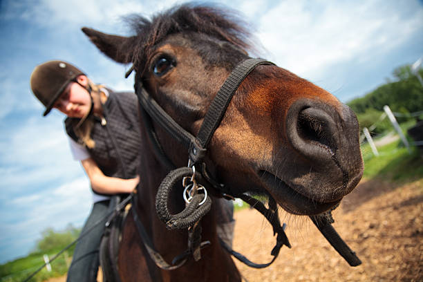 istock girl on horse ranch 157618427
