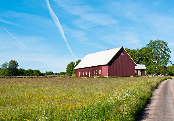 istock Typical swedish red color wooden cottage 157619117