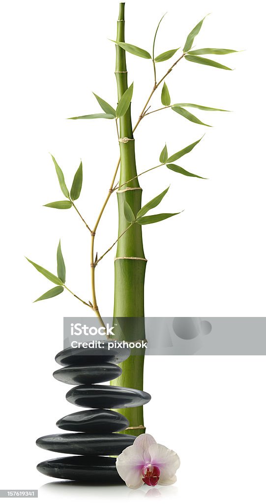 Soin de beauté - Photo de Bambou porte-bonheur libre de droits