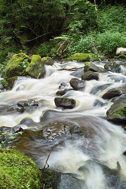 istock small river in Ravennaschlucht Black Forest 157619576