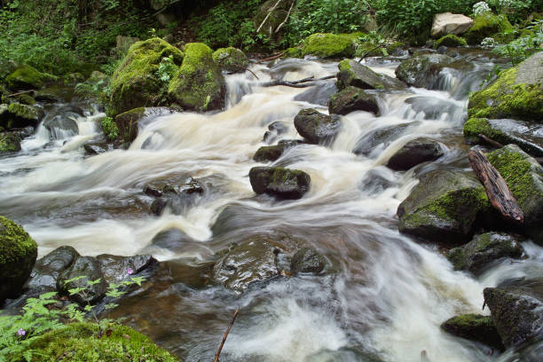 istock waterfall Ravennaschlucht in green Black Forest 157619579