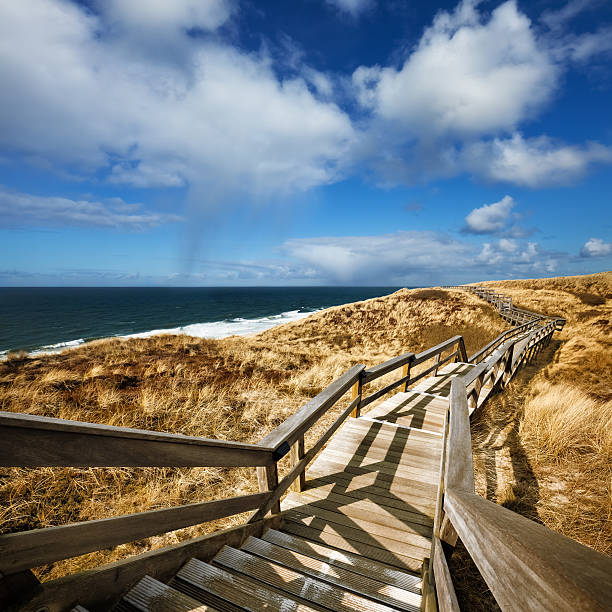 das restaurant "horizon" - beach boardwalk grass marram grass stock-fotos und bilder