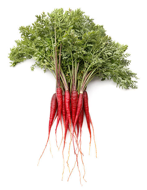 istock Purple Dragon Carrots 157619765