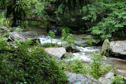 A tranquil stream winds its way through a picturesque wooded valley, with large boulders scattered along its banks