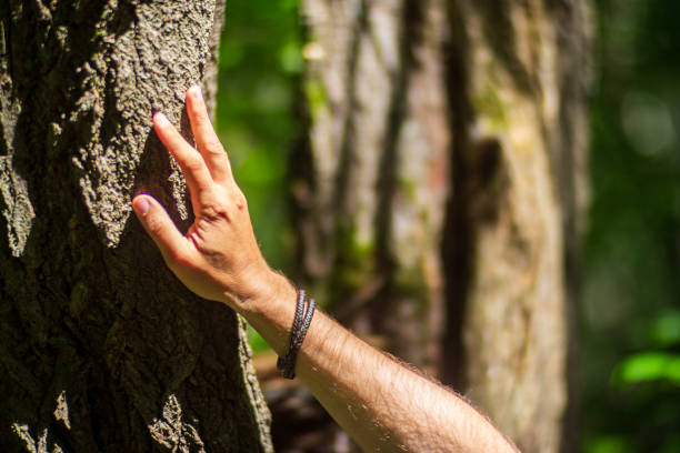 istock A man's hand touch the tree trunk close-up. Bark wood.Caring for the environment. The ecology concept of saving the world and love nature by human 1576227192