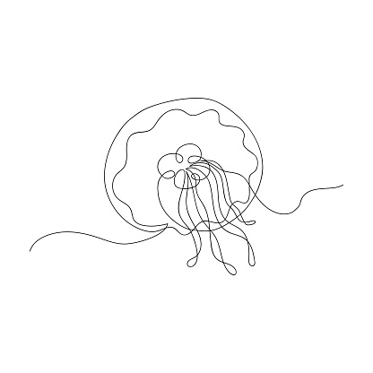Eared jellyfish doodle art. Sketch. Continuous line drawing sea animal. Vector illustration.
