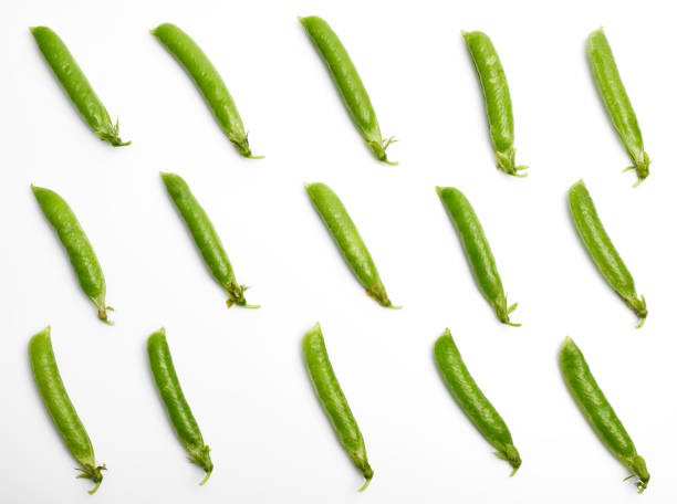 fresh green pea pod with beans isolated on white background. - green pea pea pod salad legume imagens e fotografias de stock