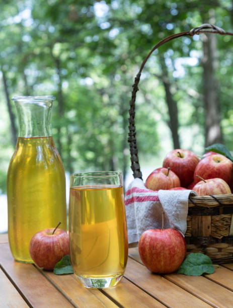 istock Apple juice in glass and carafe with fresh red apples 1576245202
