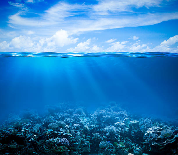 istock Underwater coral reef seabed view with horizon and water surface 157624664