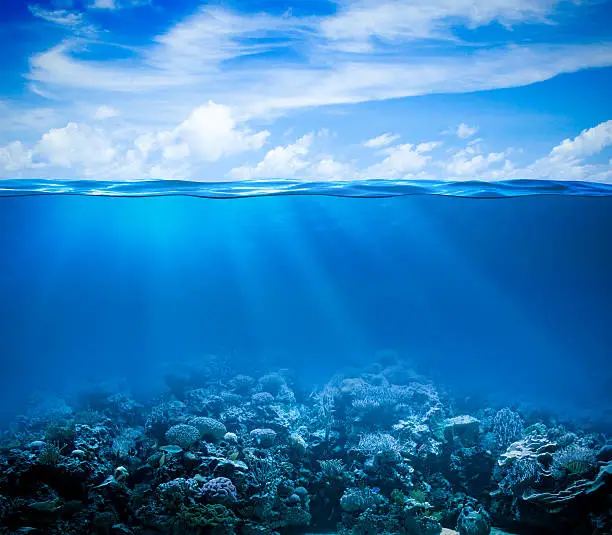 Photo of Underwater coral reef seabed view with horizon and water surface