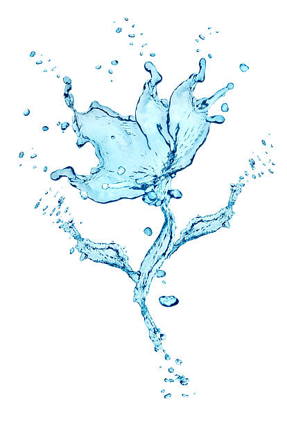 Flower made of water splashes